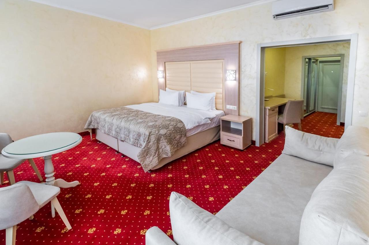 Hotel France Виниця Екстериор снимка A room at the hotel