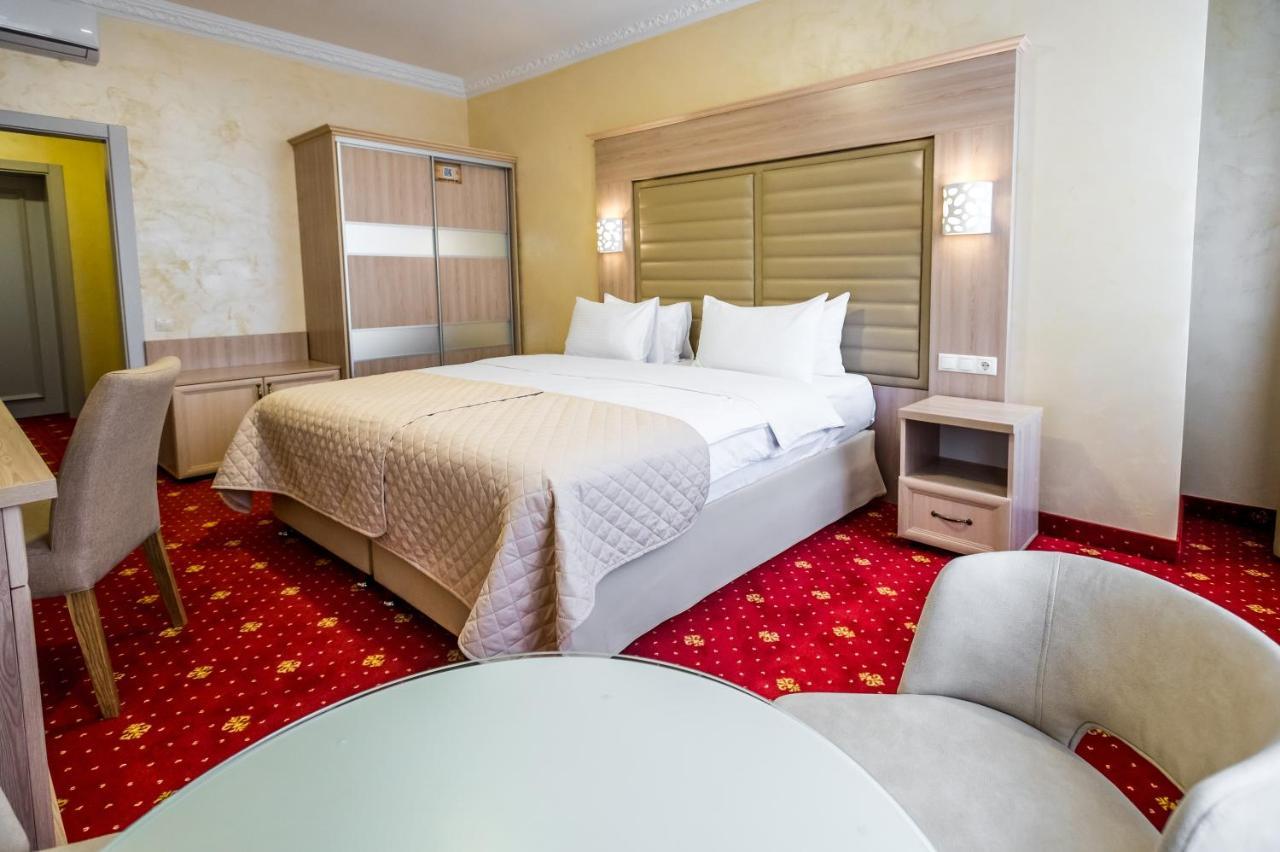 Hotel France Виниця Екстериор снимка A room at the hotel